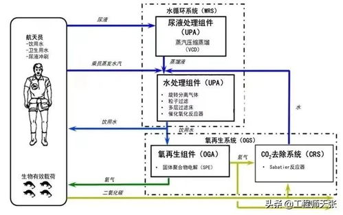 水文站监测员职责详解