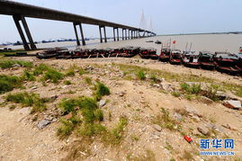 加强湖泊水文监测的措施详解 加强湖泊水文监测的措施详解