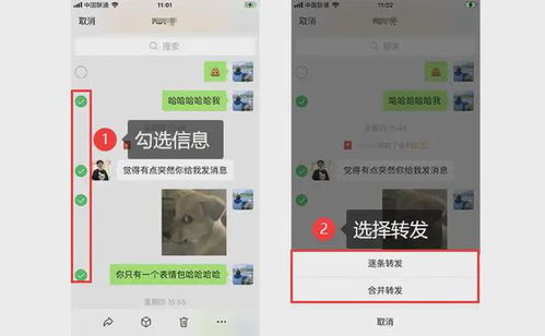 手机微信聊天记录丢失别慌！5大方法帮你轻松找回