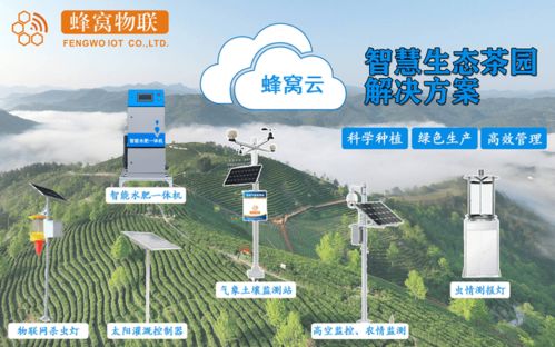 水文监测摄像头门口,守护水资源的重要眼睛 水文监测摄像头门口,守护水资源的重要眼睛