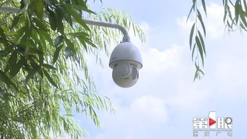 水文监测摄像头门口,守护水资源的重要眼睛 水文监测摄像头门口,守护水资源的重要眼睛