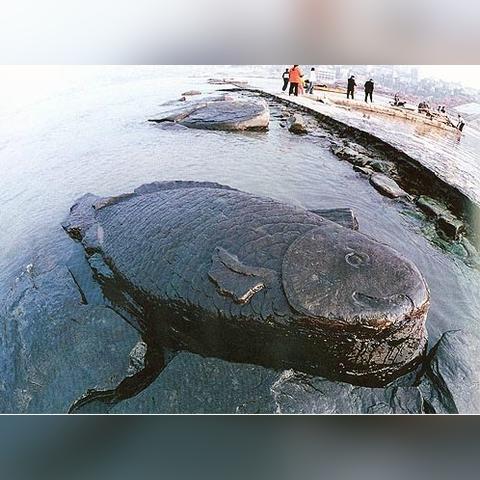 水文监测站选址详解，从地理分布到实际应用案例