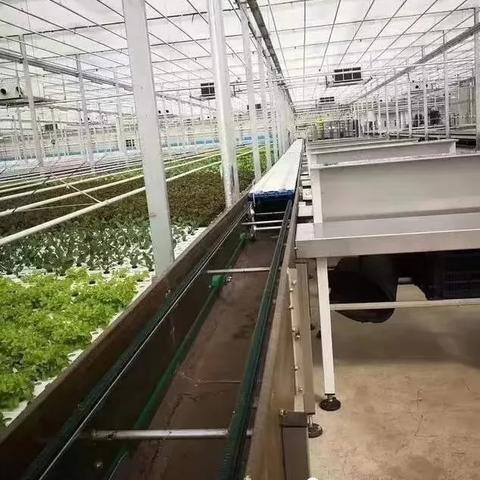 温湿度控制器与PLC通讯的实用指南