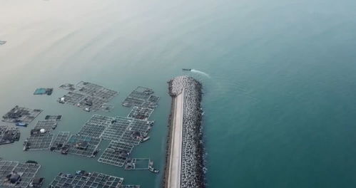 钦州水文监测中心官网,守护海洋与河流的数字之眼 钦州水文监测中心官网,守护海洋与河流的数字之眼