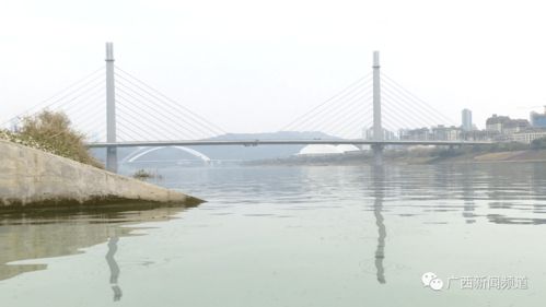 钦州水文监测中心官网，守护海洋与河流的数字之眼