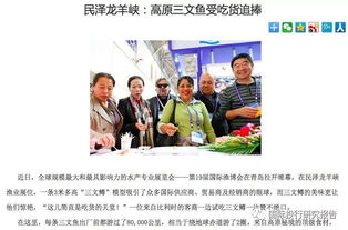 揭秘水文监测员背后的专业故事