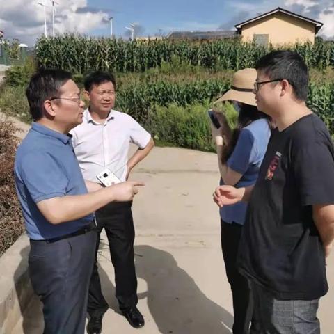 灌区水文监测站电话使用指南及相关案例分析 灌区水文监测站电话使用指南及相关案例分析
