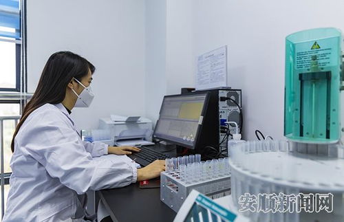 走进水文水质监测公司,探索守护水资源的科技力量 走进水文水质监测公司,探索守护水资源的科技力量