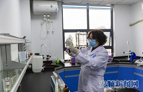 走进水文水质监测公司，探索守护水资源的科技力量
