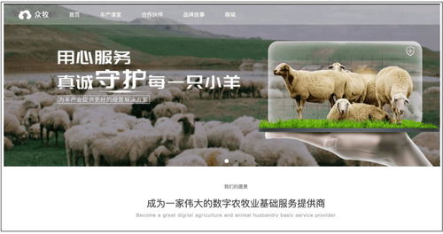 羊小咩便荔卡提现多久？看完这篇你就懂了！