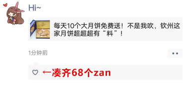 邹平抖音月付套现揭秘，月入过万不是梦？