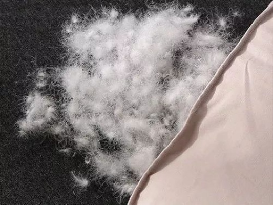 超市买鹅绒被必看指南,如何花小钱办大事? 超市买鹅绒被必看指南,如何花小钱办大事?