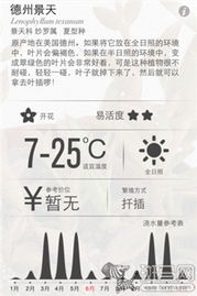 杭州羊小咩享花卡套出来当面,真的能轻松套现吗? 杭州羊小咩享花卡套出来当面,真的能轻松套现吗?