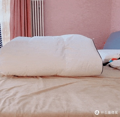 鹅绒被不用套被罩好吗女生?一篇全攻略+真实案例告诉你答案 鹅绒被不用套被罩好吗女生?一篇全攻略+真实案例告诉你答案