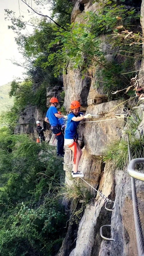杭州羊小咩享花卡取现,本地人必看的薅羊毛指南 杭州羊小咩享花卡取现,本地人必看的薅羊毛指南