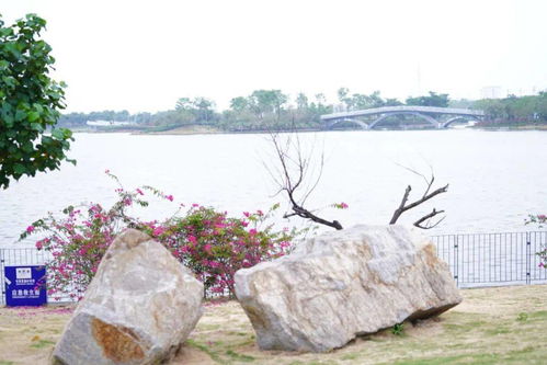 杭州羊小咩享花卡额度提现多少?看完这篇你就懂了! 杭州羊小咩享花卡额度提现多少?看完这篇你就懂了!