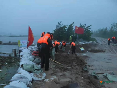 沙袋,抗洪抢险中的铁三角守护 沙袋,抗洪抢险中的铁三角守护