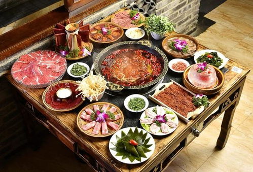 美食玩具大比拼!这些品牌让你玩着吃瘾 美食玩具大比拼!这些品牌让你玩着吃瘾