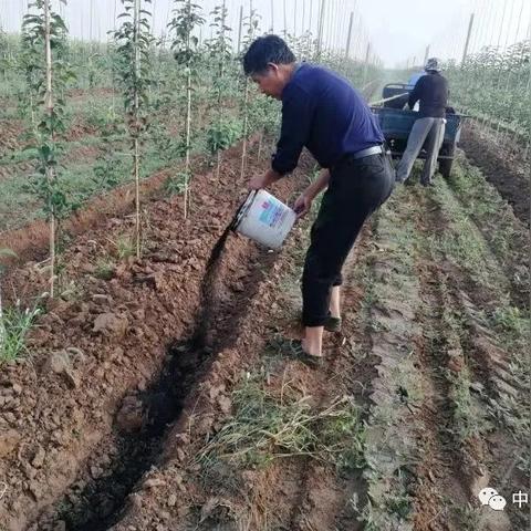 充电宝充电快慢全解析,揭秘背后的技术密码与选购指南 充电宝充电快慢全解析,揭秘背后的技术密码与选购指南