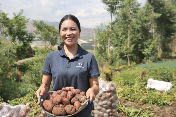 从田间到手机,土豆为什么成为短视频顶流?这份实战指南请收好 从田间到手机,土豆为什么成为短视频顶流?这份实战指南请收好