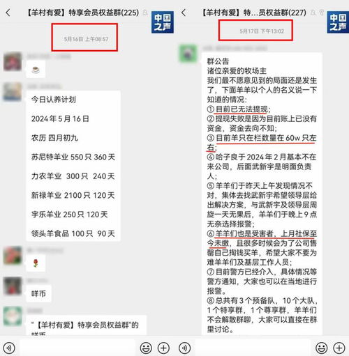羊小咩便荔卡提现预约有用吗?全网最全解析来了! 羊小咩便荔卡提现预约有用吗?全网最全解析来了!