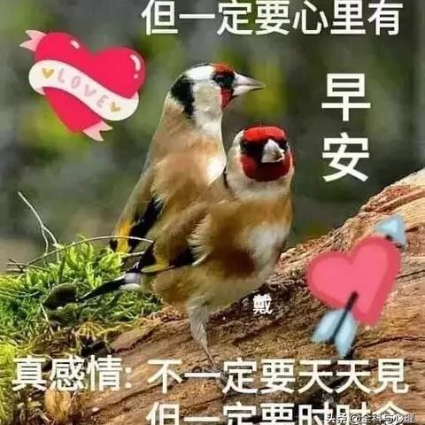 手机短信聊天记录查询全攻略,手把手教你找回重要信息 手机短信聊天记录查询全攻略,手把手教你找回重要信息