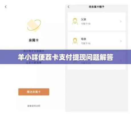 杭州羊小咩便荔卡额度提现全攻略,从入门到精通,一篇搞定! 杭州羊小咩便荔卡额度提现全攻略,从入门到精通,一篇搞定!
