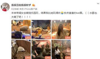 兰州萌宠乐园拍照全攻略,这些隐藏机位让你朋友圈C位出道! 兰州萌宠乐园拍照全攻略,这些隐藏机位让你朋友圈C位出道!