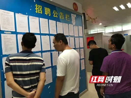 邵阳就业局网站缺失,一场数字鸿沟下的民生之问 邵阳就业局网站缺失,一场数字鸿沟下的民生之问