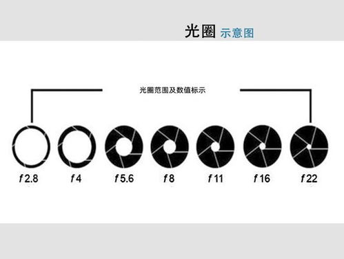 光圈为什么用f?从符号起源到实战技巧的全面解读 光圈为什么用f?从符号起源到实战技巧的全面解读