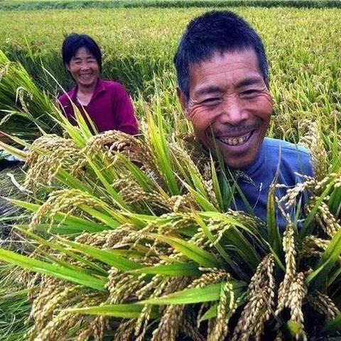 如何高效缴纳公积金 如何高效缴纳公积金