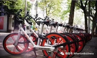 共享单车，城市出行利器还是便利陷阱？深度解析背后的选择逻辑