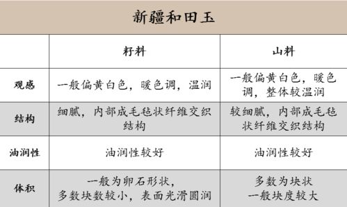 手软的真相，从生理到心理的全方位解析