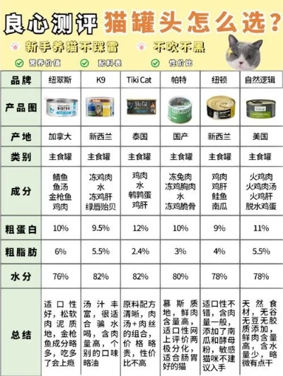 幼猫罐头喂养全攻略，吃多少、怎么喂、注意事项全解析