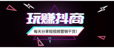 从0到1打造爆款!创业者短视频直播咨询师全攻略 从0到1打造爆款!创业者短视频直播咨询师全攻略
