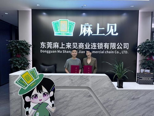 装修公司网站加盟一站式服务,助您轻松开启创业之路 装修公司网站加盟一站式服务,助您轻松开启创业之路