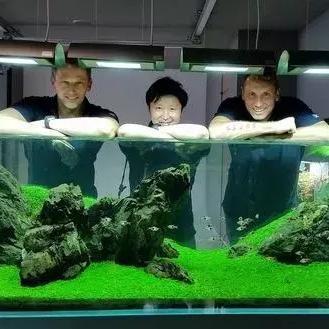 极简主义装修指南,用减法打造高级感生活空间 极简主义装修指南,用减法打造高级感生活空间