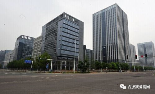 2023巴中写字楼地毯价格全解析,多少钱一米?选购避坑指南+市场趋势 2023巴中写字楼地毯价格全解析,多少钱一米?选购避坑指南+市场趋势