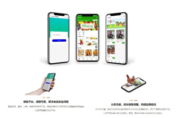 微信云养猪小程序收费模式解析 微信云养猪小程序收费模式解析
