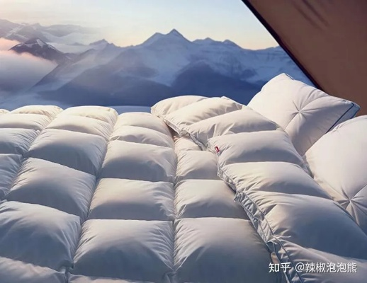 鹅绒被买梦洁还是寐？2023最新对比指南，材质、价格、口碑全解析