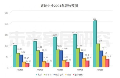 现场定做鹅绒被全攻略，流程、案例、避坑指南及市场趋势分析