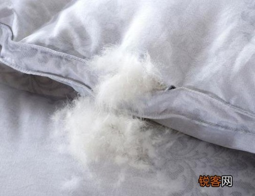 如何彻底清洁鸭鹅绒被芯？清洗全流程+避坑指南+市场真相大揭秘