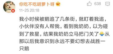 天气冷睡鹅绒被文案短句，如何用30秒抓住消费者？附案例+避坑指南+市场趋势